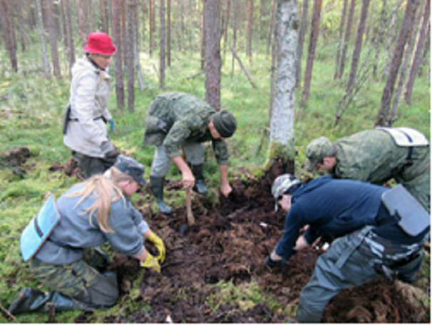 Новгородские поисковики возвращают историческую память