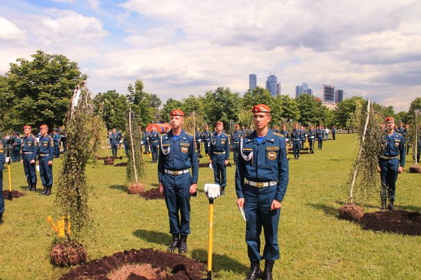 В Парке Победы на Поклонной горе появилась «Березовая роща Героев России»