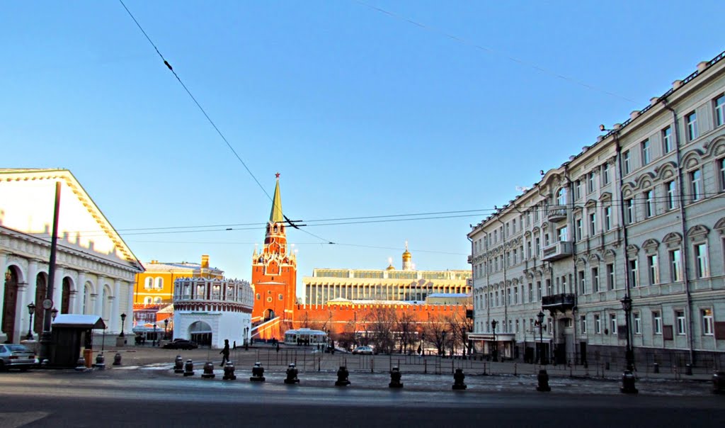 РВИО создает новое культурное пространство в РГБ
