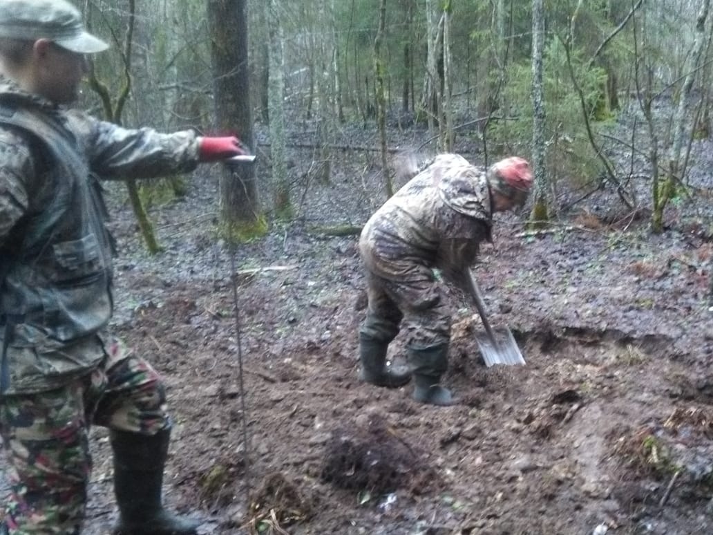 Сбитый самолет гражданского флота найден под Демянском