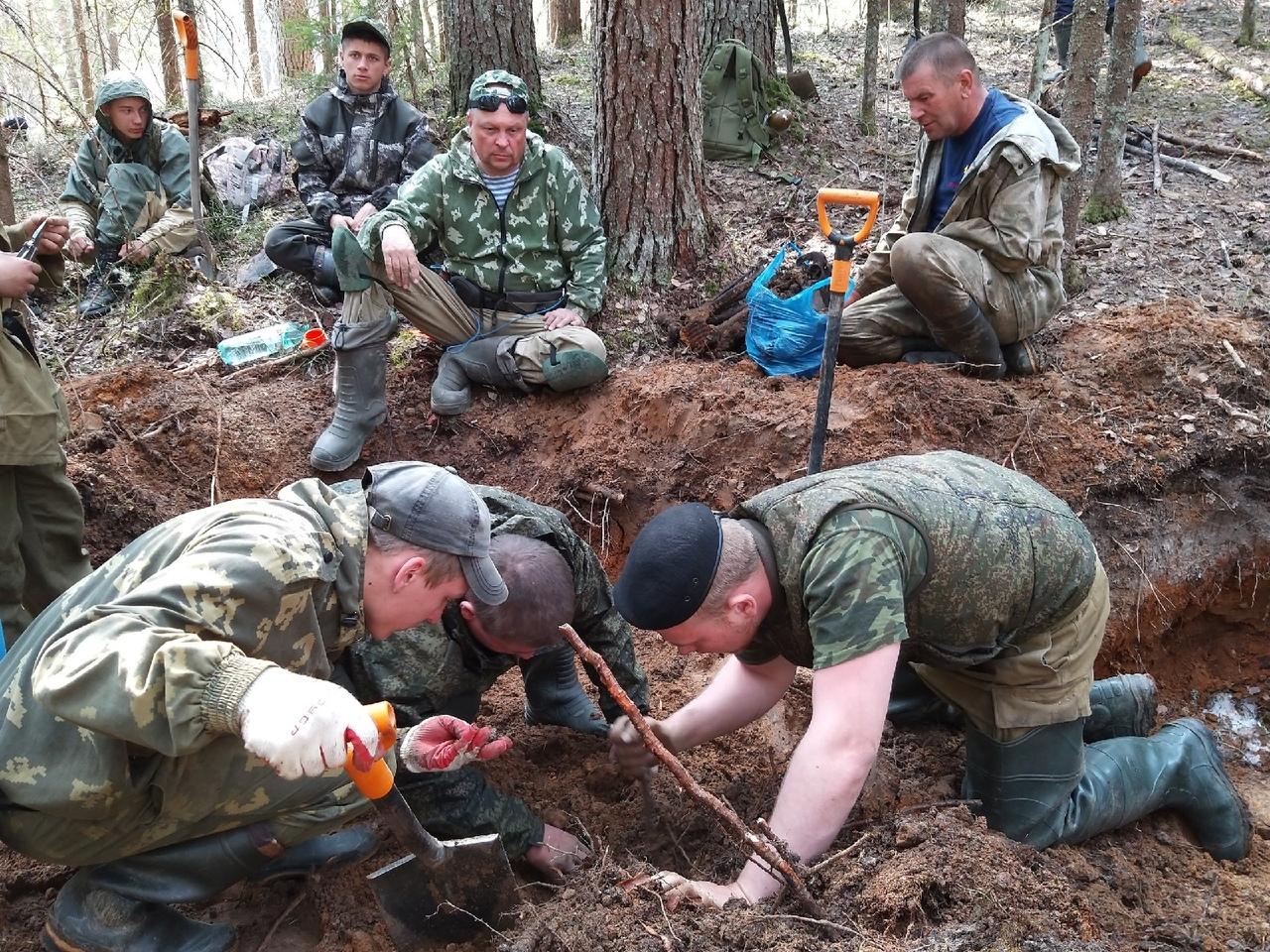 Останки солдат армии Наполеона перезахоронят в Вязьме