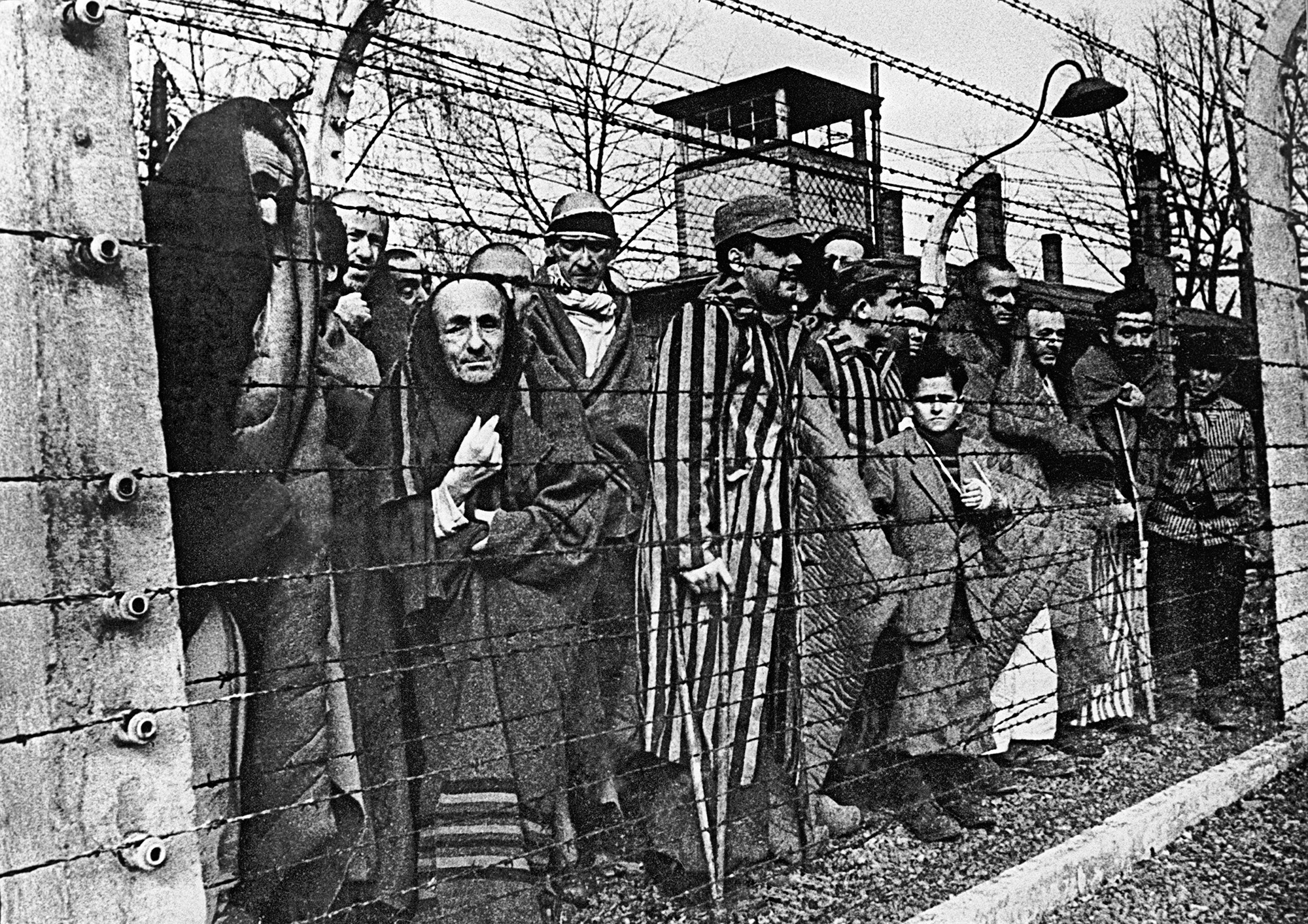 Онлайн. Круглый стол «Узники нацистских лагерей: освобождение и память»
