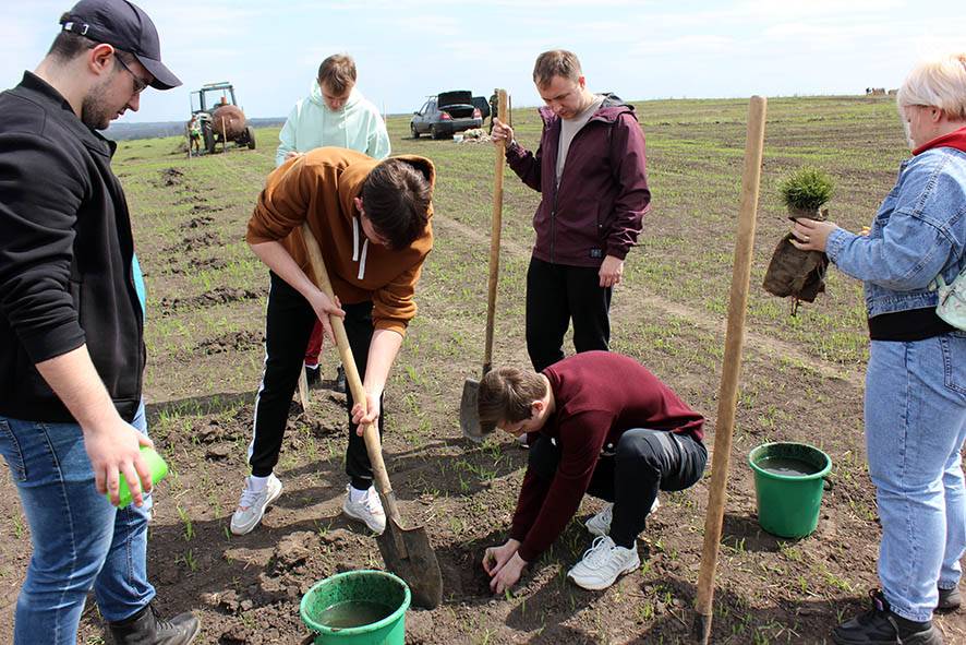 САЖЕНЦЫ КЕДРА В ПАМЯТЬ О ПАВШИХ НА КУРСКОЙ ДУГЕ