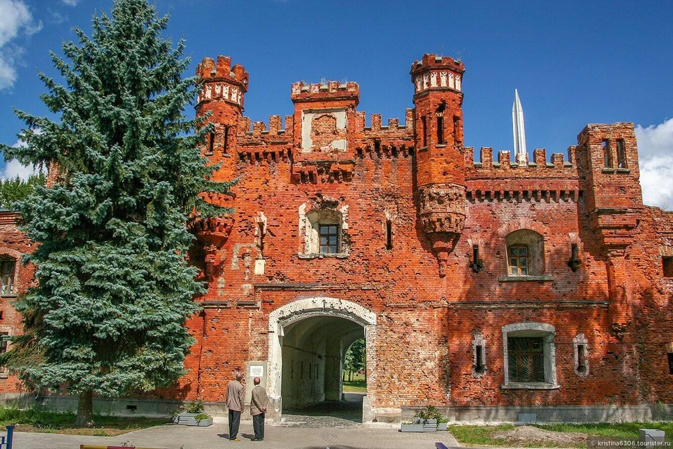 Елизавета Комарова примет участие в проекте «Непокорённые»