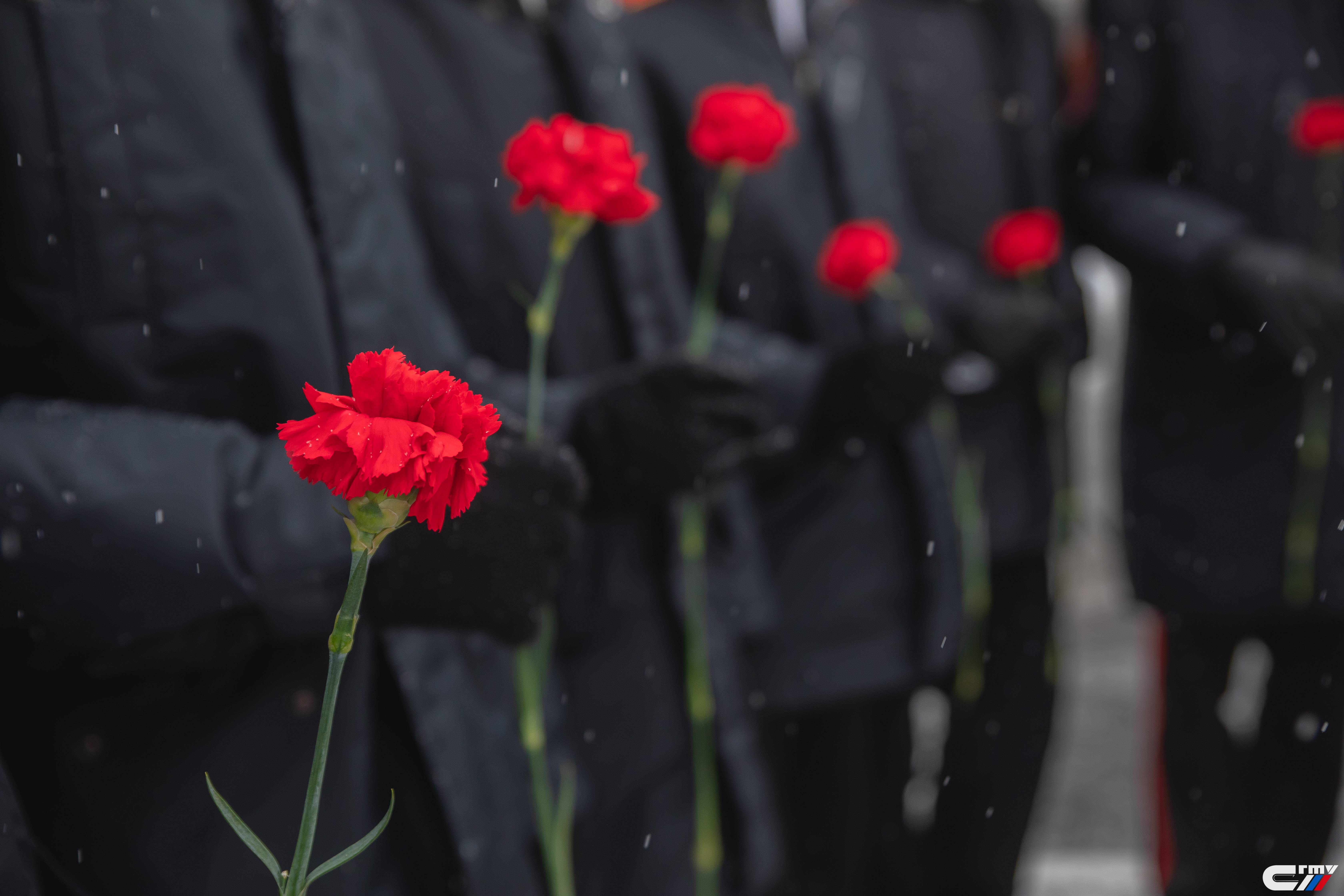 80 лет со дня победы в Сталинградской битве: в региональном отделении прошли мероприятия, посвященные памятной дате