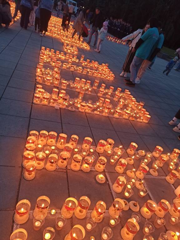 Члены РВИО приняли участие в мероприятиях в День памяти и скорби в Йошкар-Оле