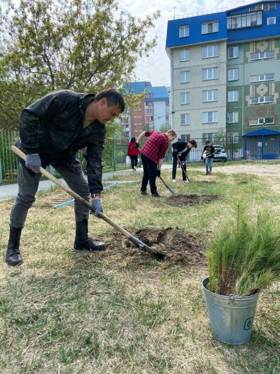 Аллея Победы появилась в одной из школ города Кургана