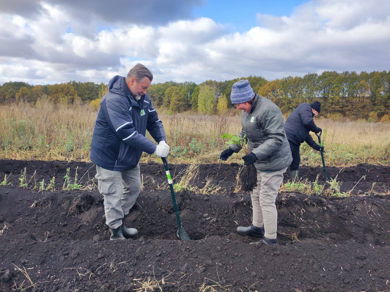 На Куликовом поле прошла Всероссийская эколого-патриотическая акция памяти «Зеленая Дубрава»