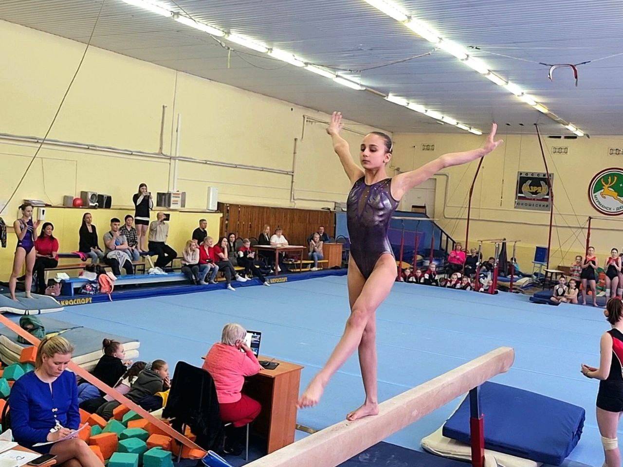 Мурманский городской чемпионат по спортивной гимнастике памяти Юрия Гагарина
