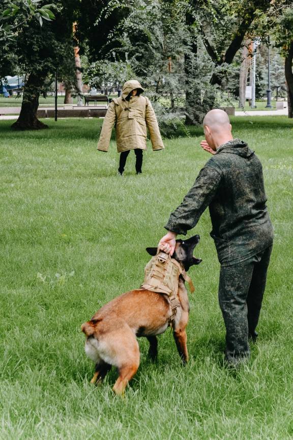 Военные собаки на страже Отечества