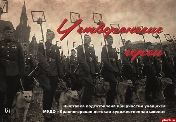 Псковичи смогут увидеть выставку Музея Победы о подвигах служебных собак