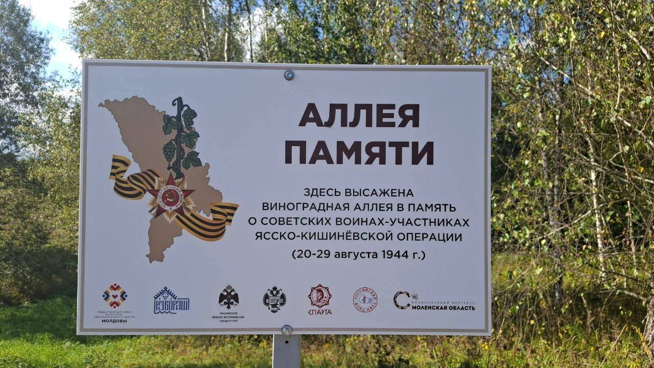 Аллея памяти в Парке военной истории «Смоленский рубеж»