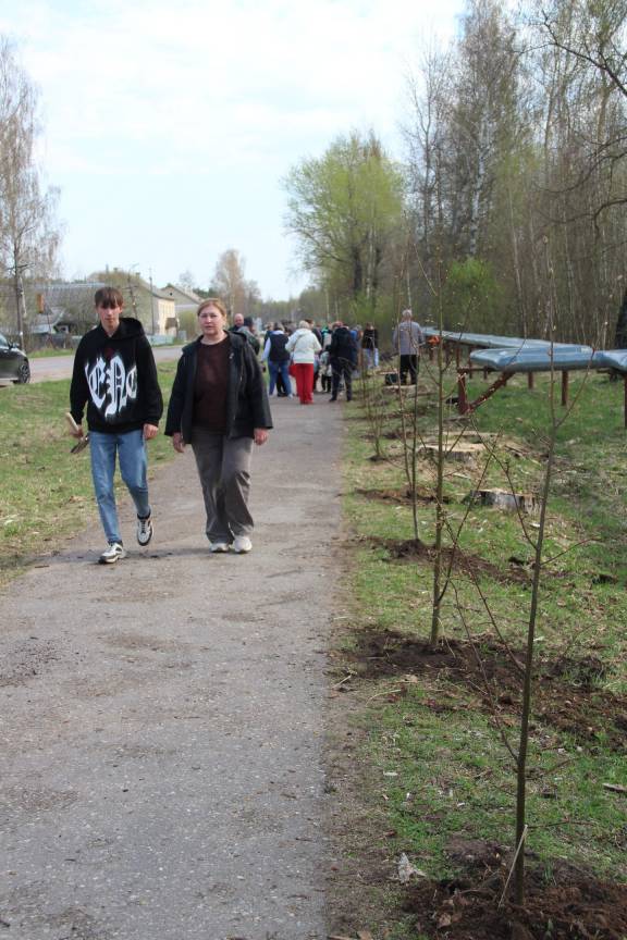 Аллея памяти: в Красномайском высадили 50 лип в честь защитников Отечества