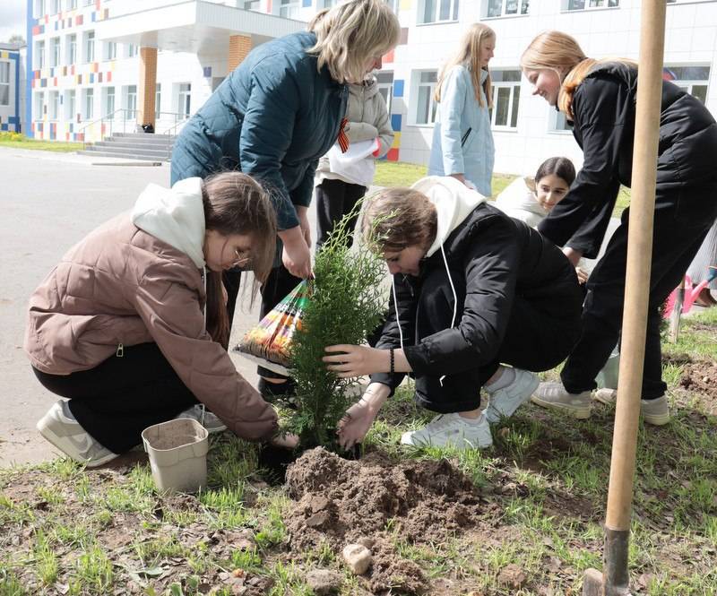 Аллея памяти появилась у Ново-Ямской школы