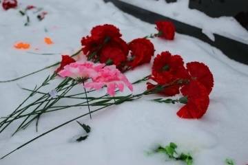 Нюксеница. День памяти воинов-интернационалистов.