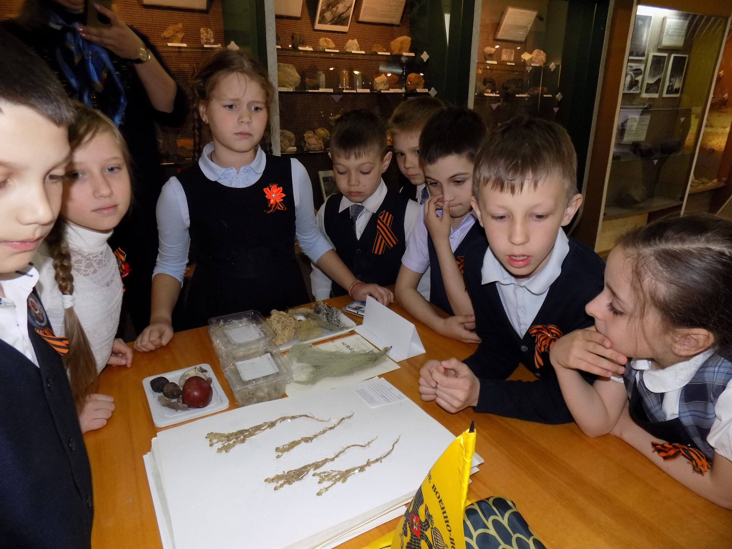 Музейные уроки на Ставрополье о народной школе выживания в экстремальных условиях Великой Отечественной войны