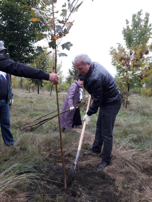 Акция «Лес Победы» прошла во Владикавказе