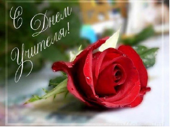 Ставропольское отделение РВИО поздравляет с учителей с профессиональным праздником!