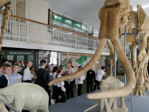 Музейный потенциал в системе школьного образования