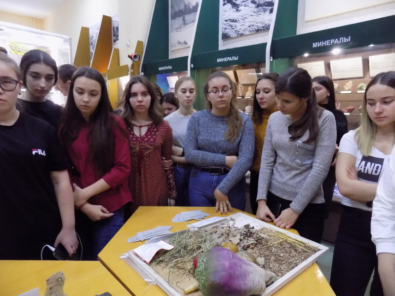 «Учимся и играем»: музейный интерактив