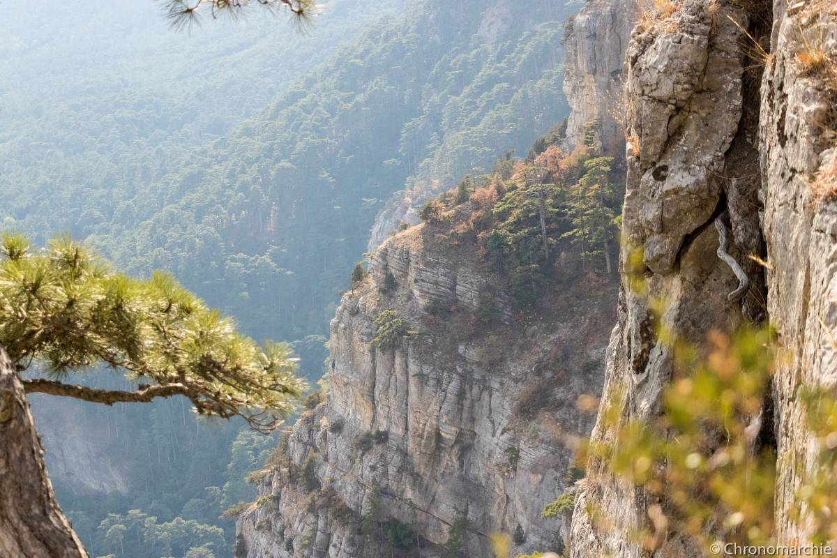 РО РВИО в Республике Крым