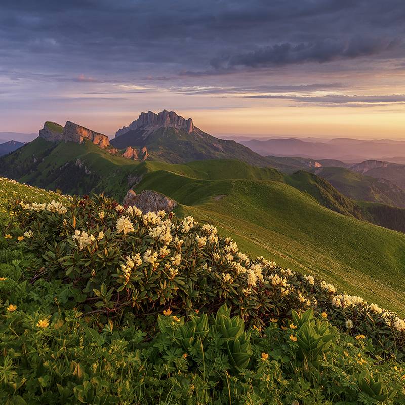 РО РВИО в Республике Адыгея