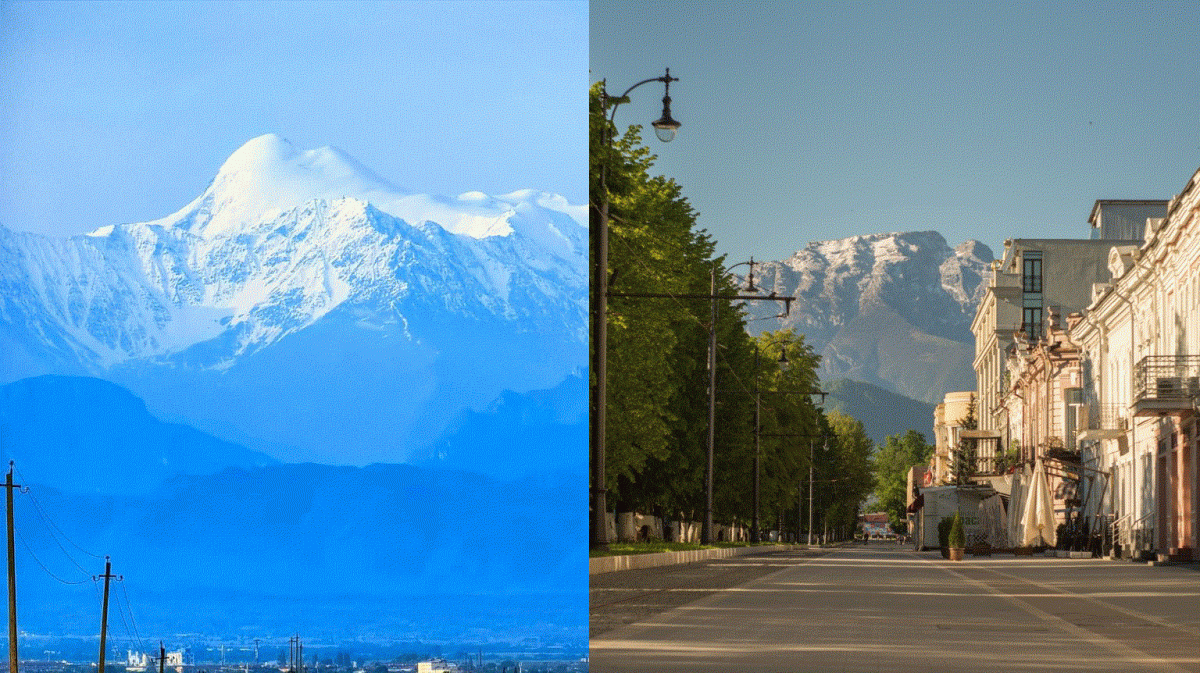 РО РВИО в Республике Северная Осетия — Алания